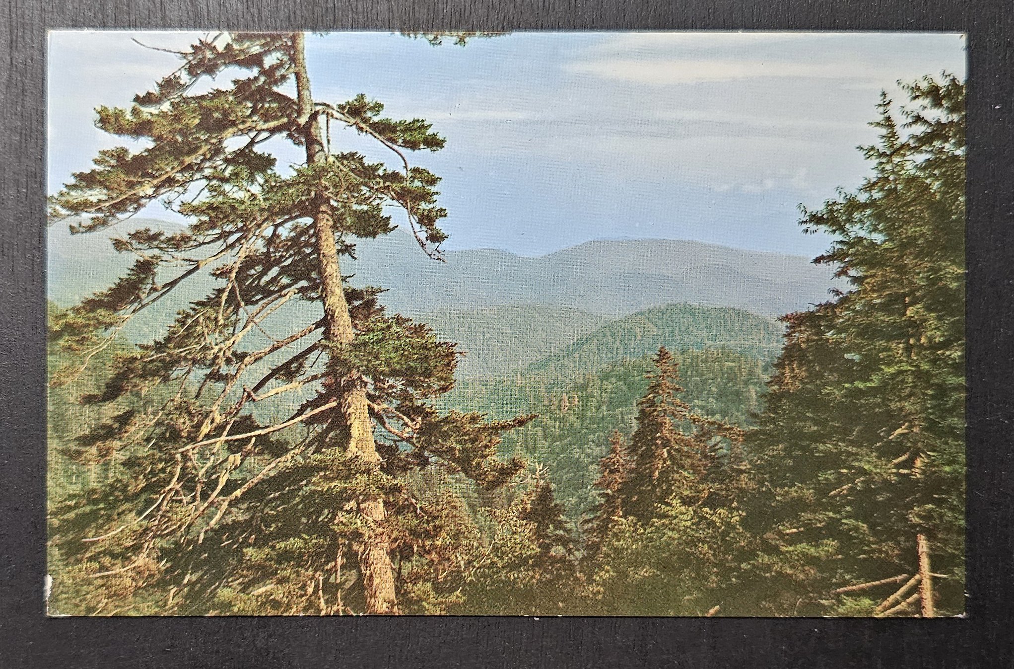 (image for) postcard USA - TN - Tennessee #0018